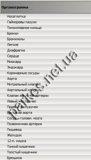 Органограмма Паркес Семейный доктор